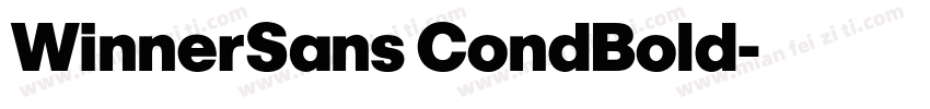 WinnerSans CondBold字体转换